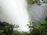 Costa Rica - Rainforest - 27
